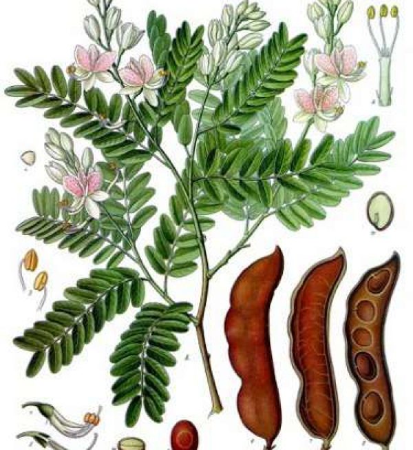 NADOMESTILO ZA ČAS BOLNIŠKEGA STALEŽA